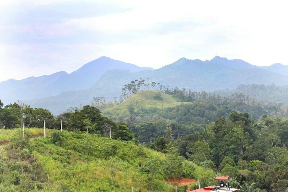 Фото The Zenith Inn Ella