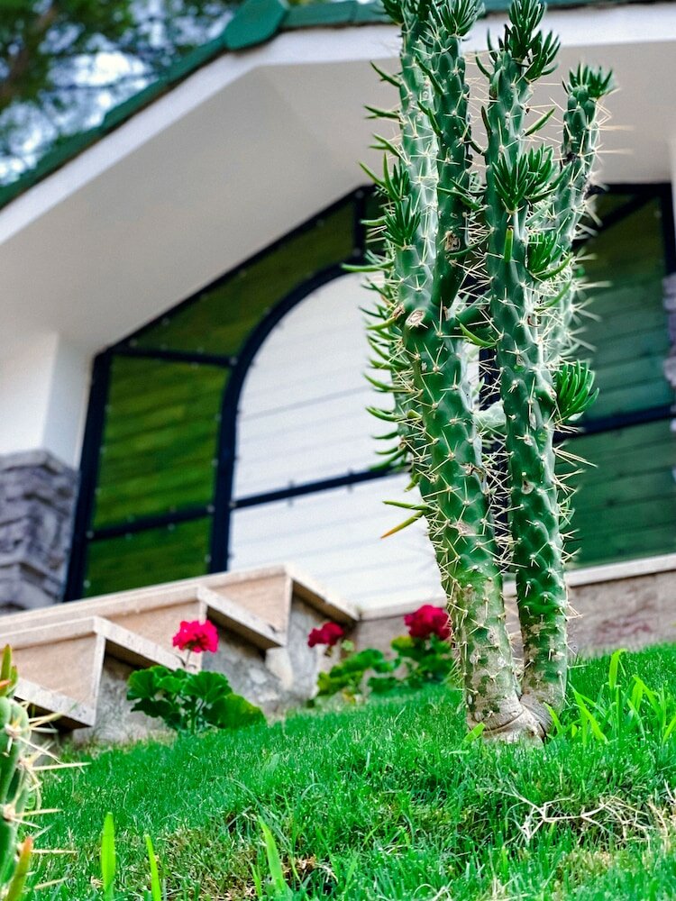 Фото Beacon Hill Suites