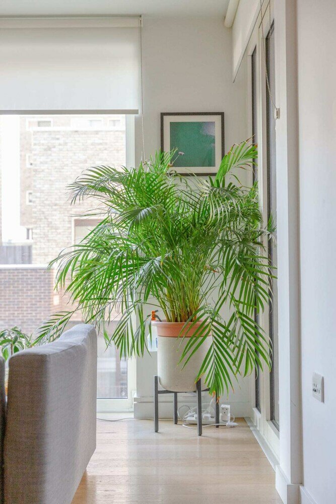 Фото Bright Flat in Elephant & Castle