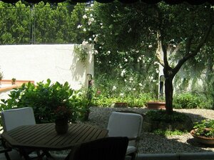 Гостиница Delicious Apartment in Florence Under the Hills of Fiesole and Settignano