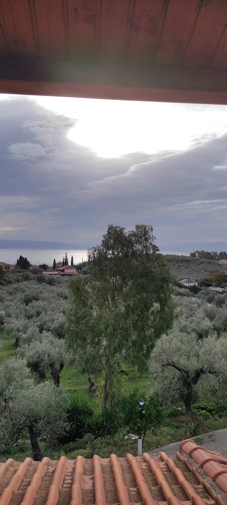 Фото Gorgeous 3 bedrooms Apartment in Pilio