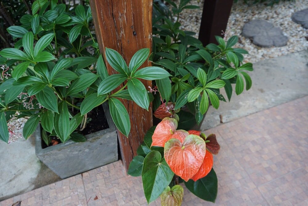 Фото Tha Ma-O Bouteak Homestay