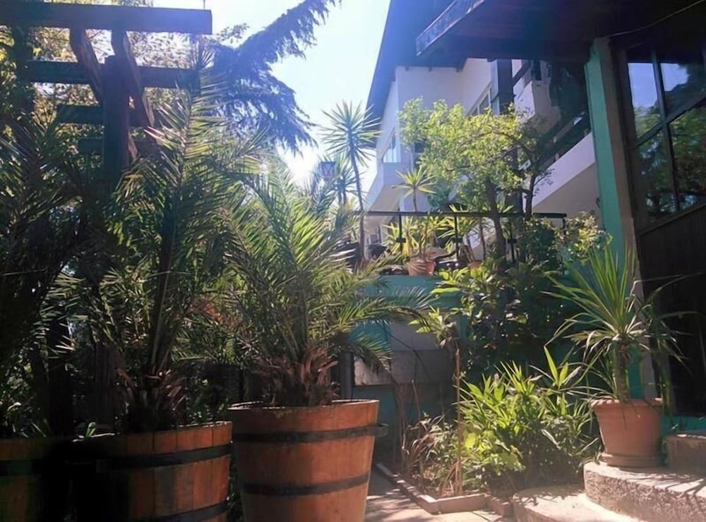 Фото Hair of the Dog Hostel