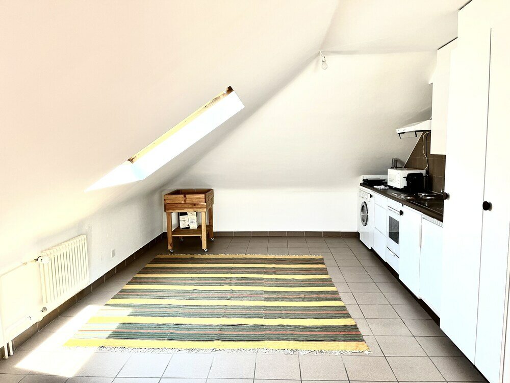 Фото Service Loft in Central Geneva