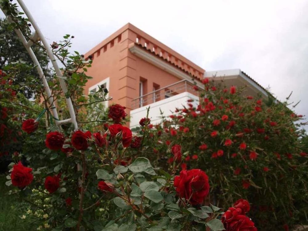 Фото Thalassa Hotel