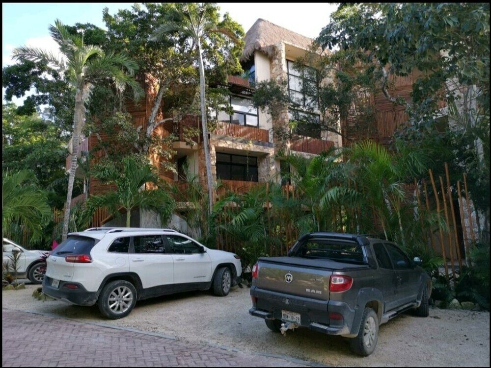 Фото Jungle Penthouse