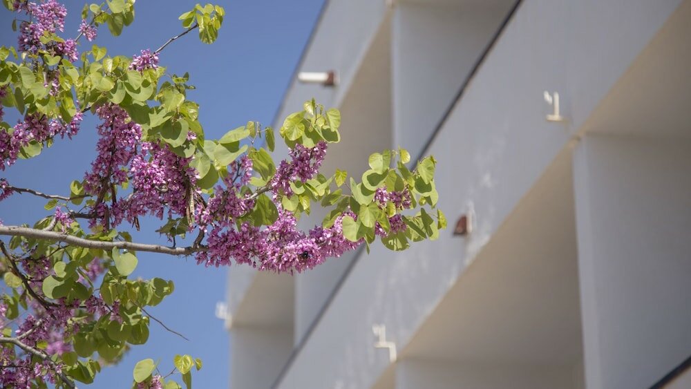 Фото Casa Del Mar Hotel