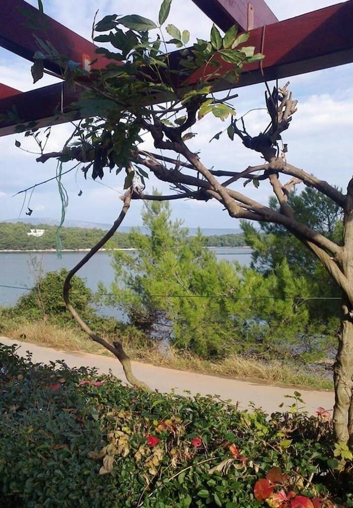 Фото Niko - With Pool - A1