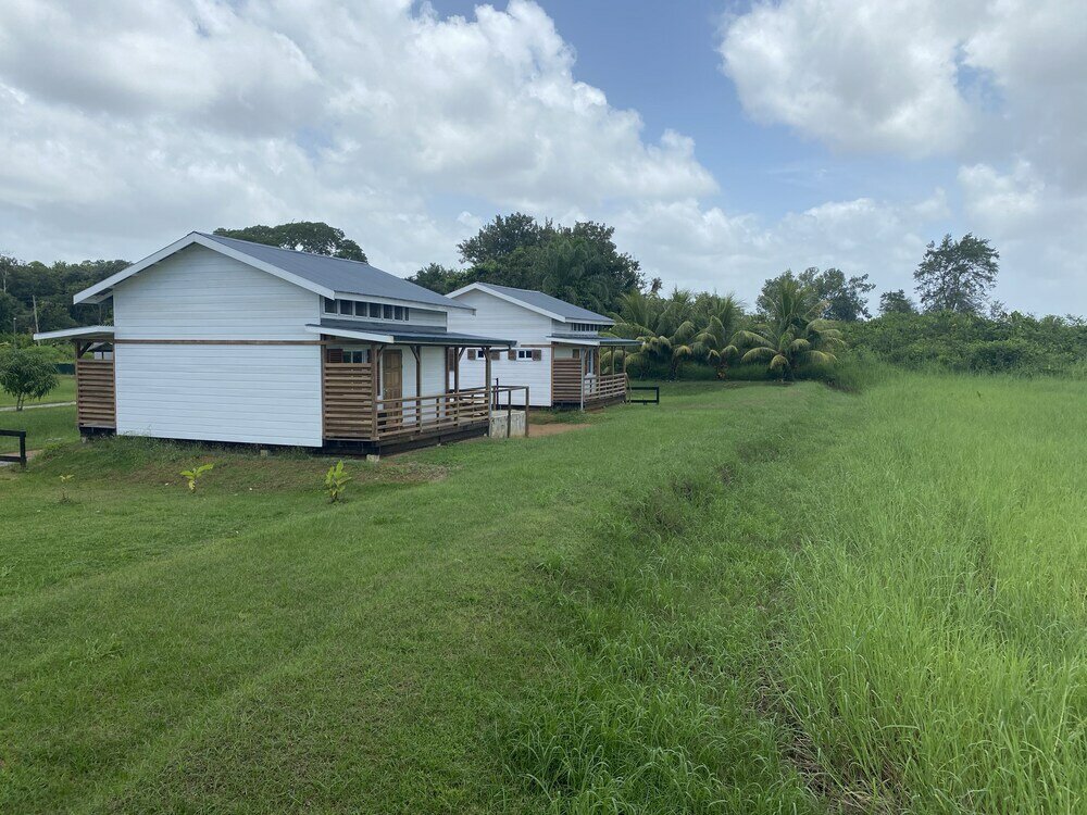 Фото Koffiemama Tree B&b