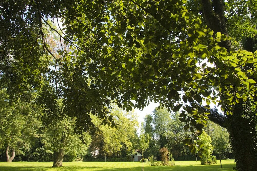 Фото Bloemenweelde