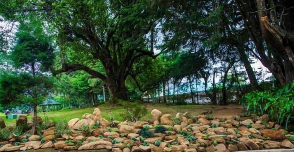 Фото Ferncliff Bungalow