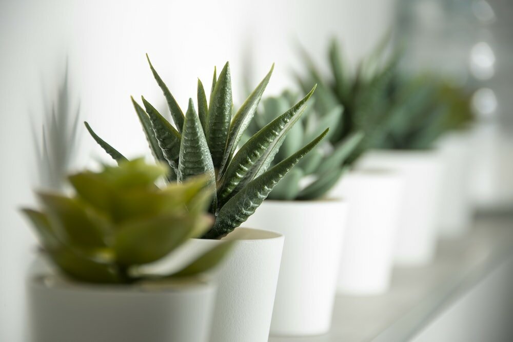 Фото HouSmart Fossolo 28