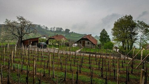 Гостиница Vineyard Cottage Hocevar