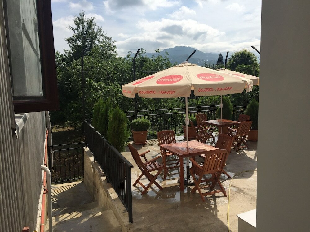 Фото Hotel Botanica