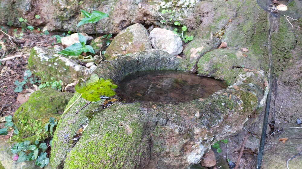 Фото Villa Kastania