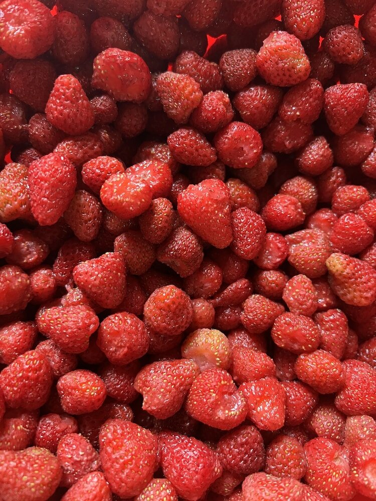 Фото Бахмаро