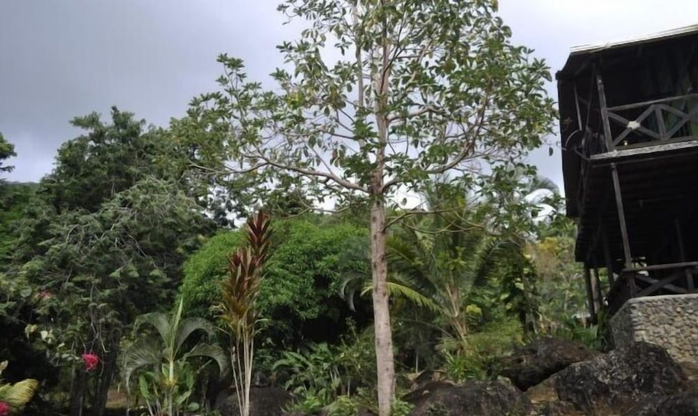 Фото Acuali Eco Hostal