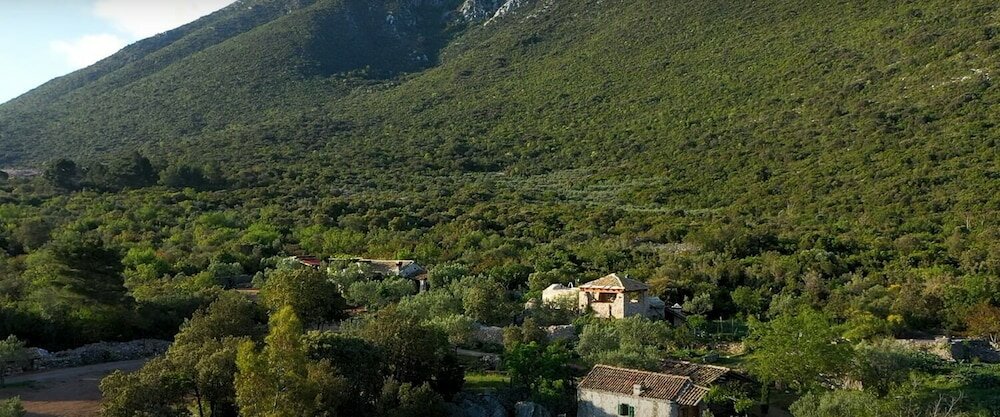 Фото Lavender - Traditional Tranquility - H