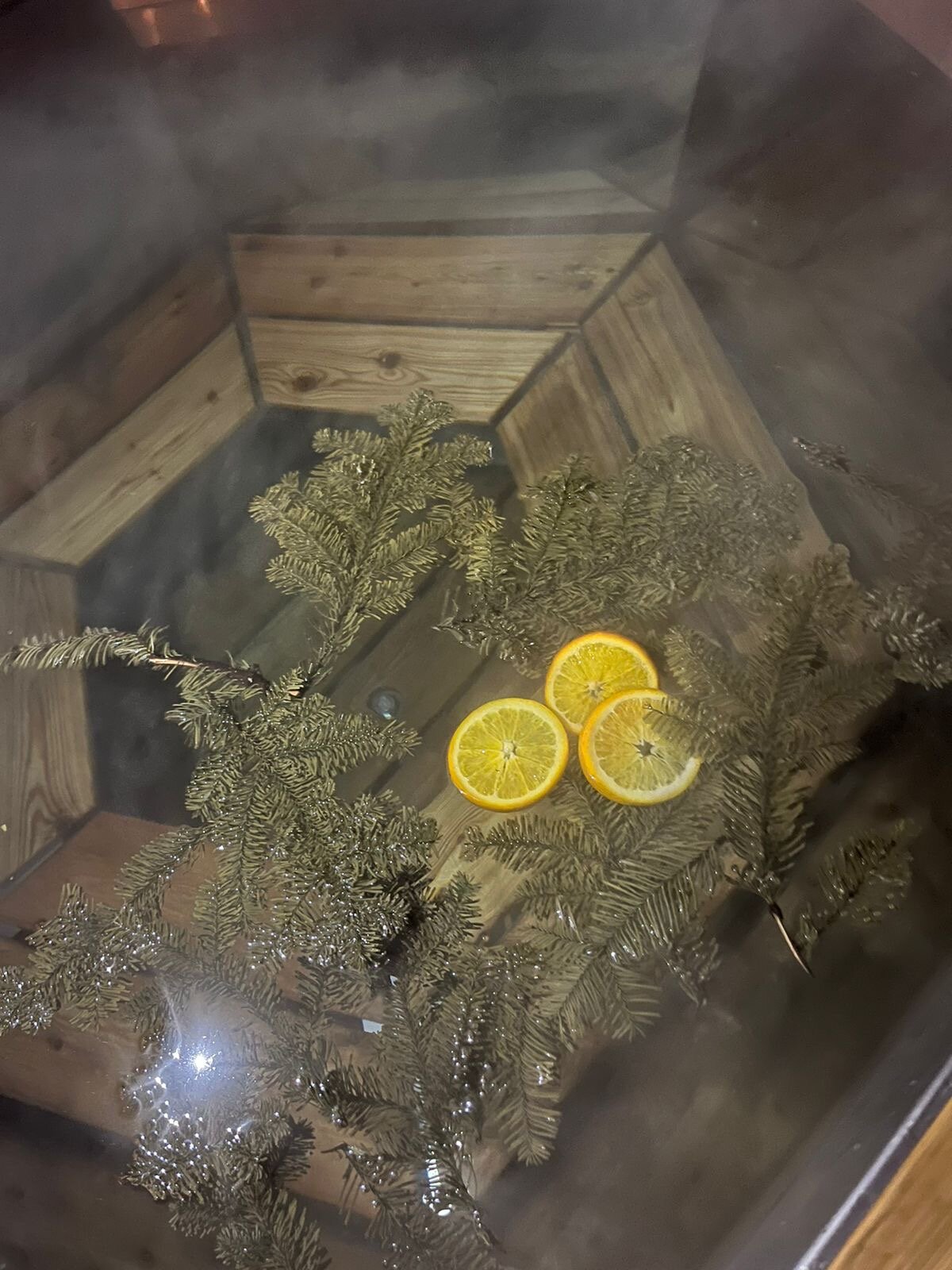 Фото Шишкин Афрейм