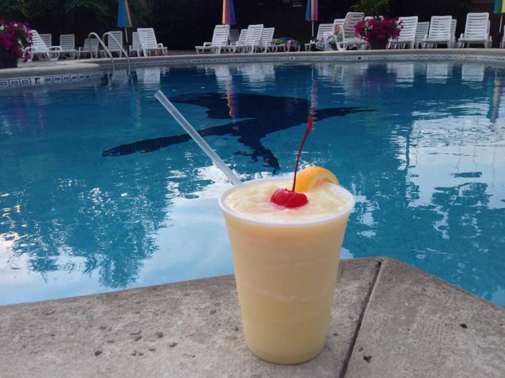 Фото The Raven Resort