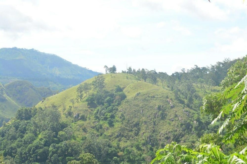 Фото Cloudy Hill Cottage