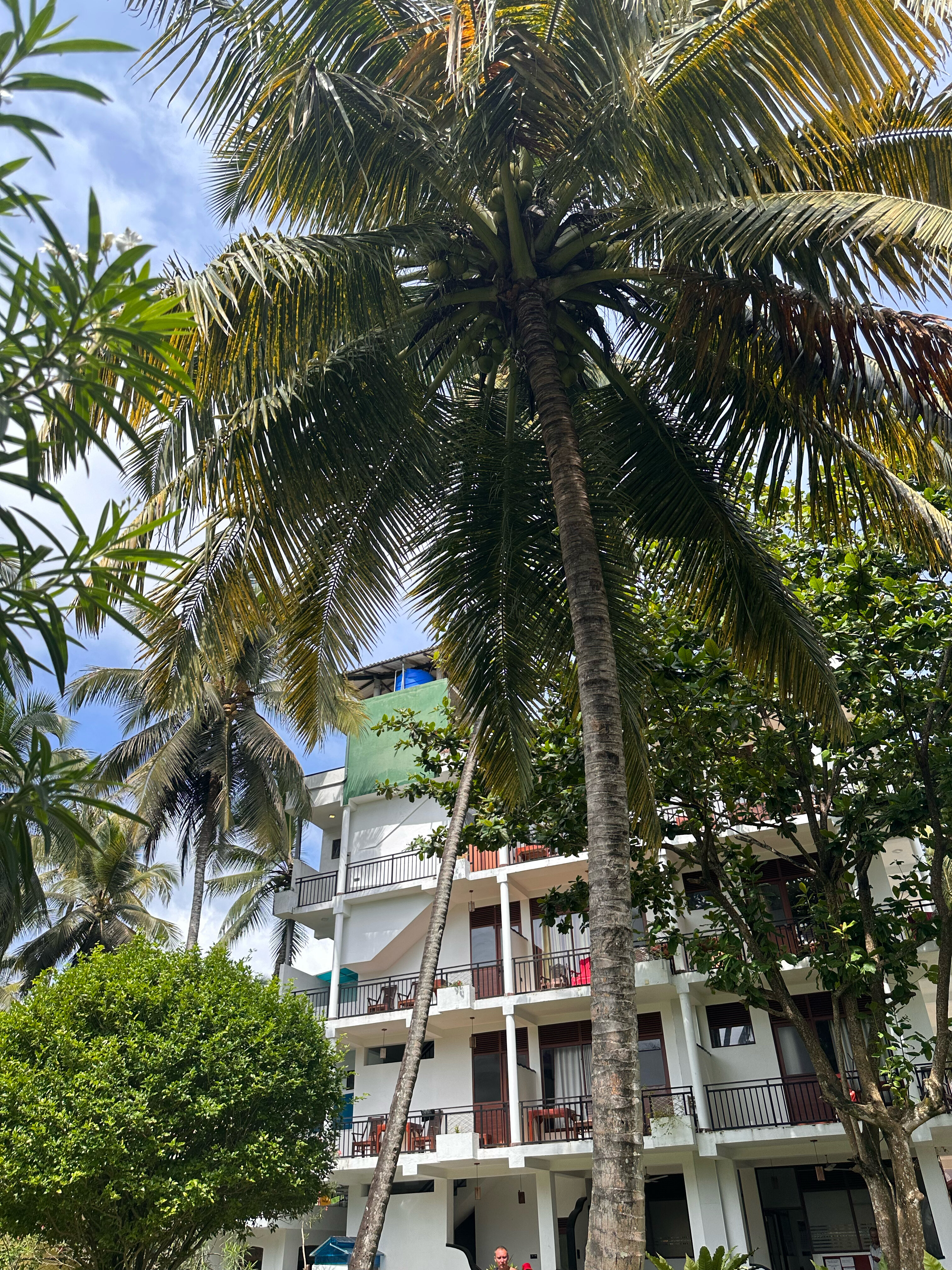 Фото Sea View Beach Unawatuna Hotel