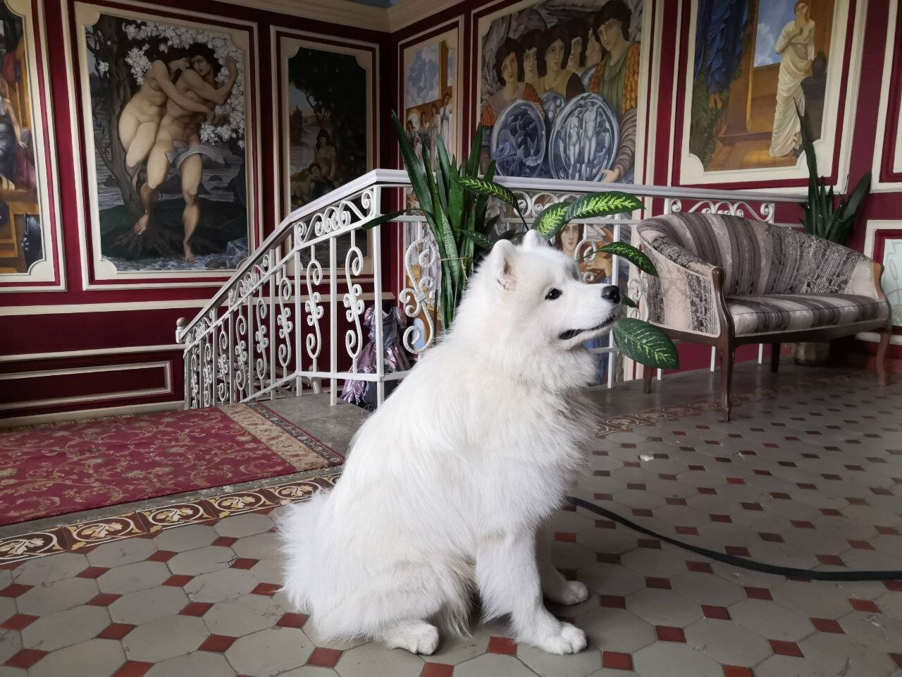 Фото Селивановъ