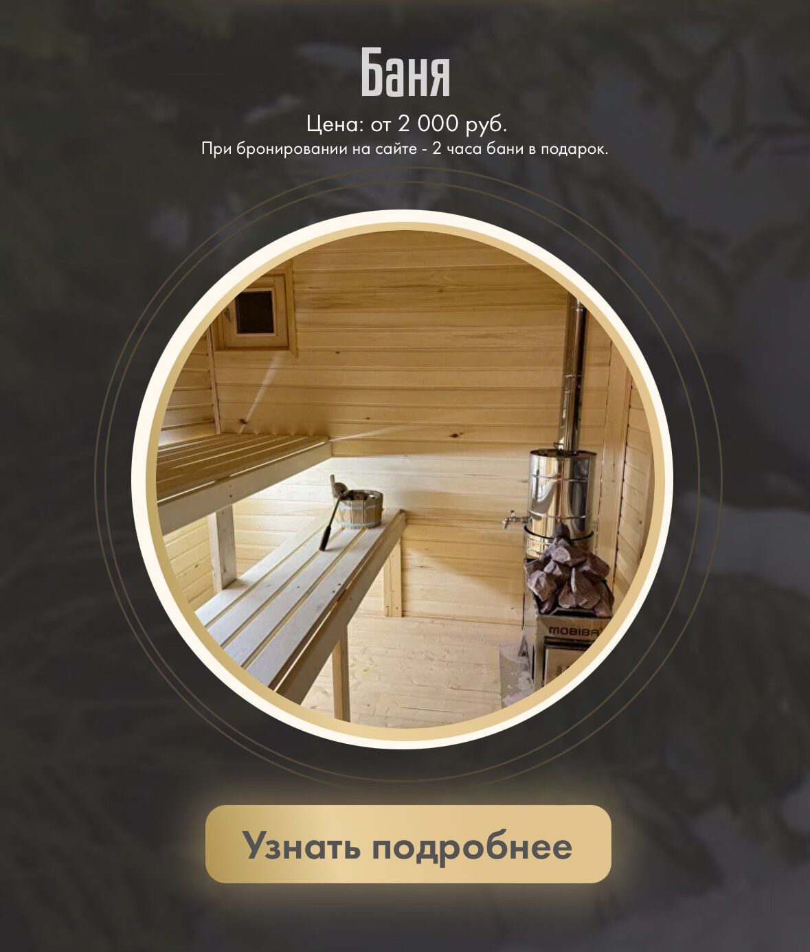 Фото Мы Дома- Зеркальный лес