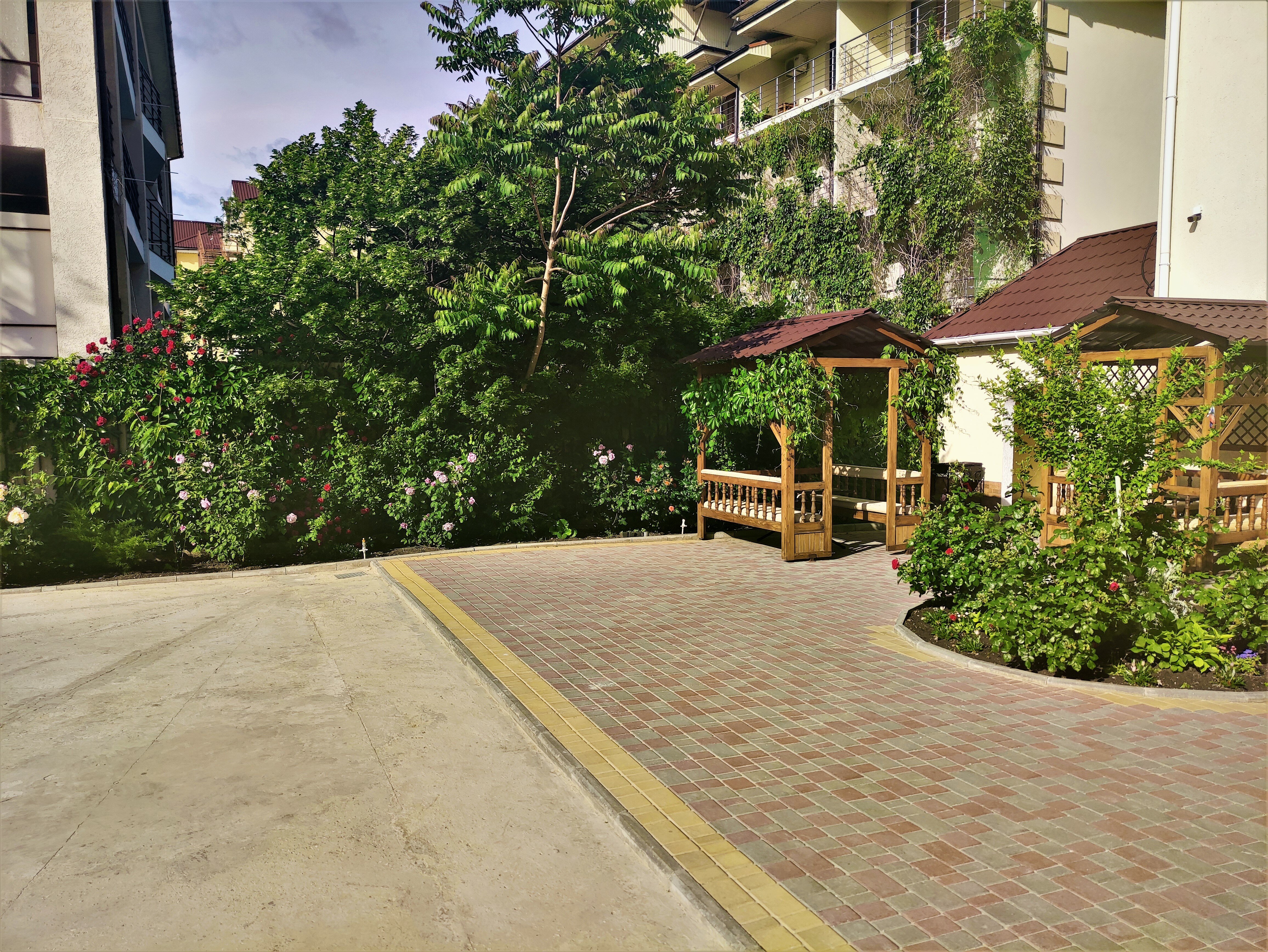 Фото Шампань