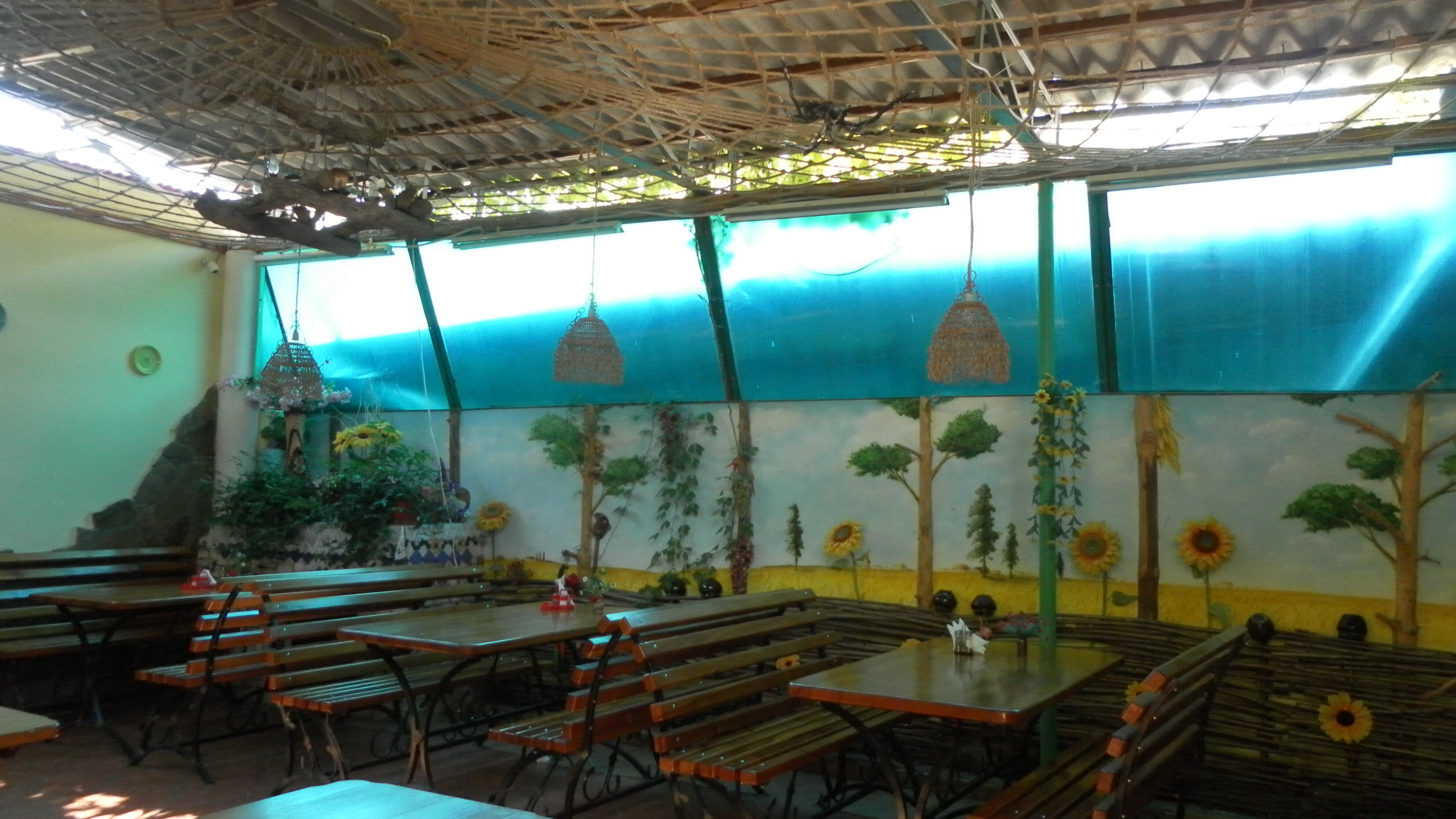 Фото Солнечное Море