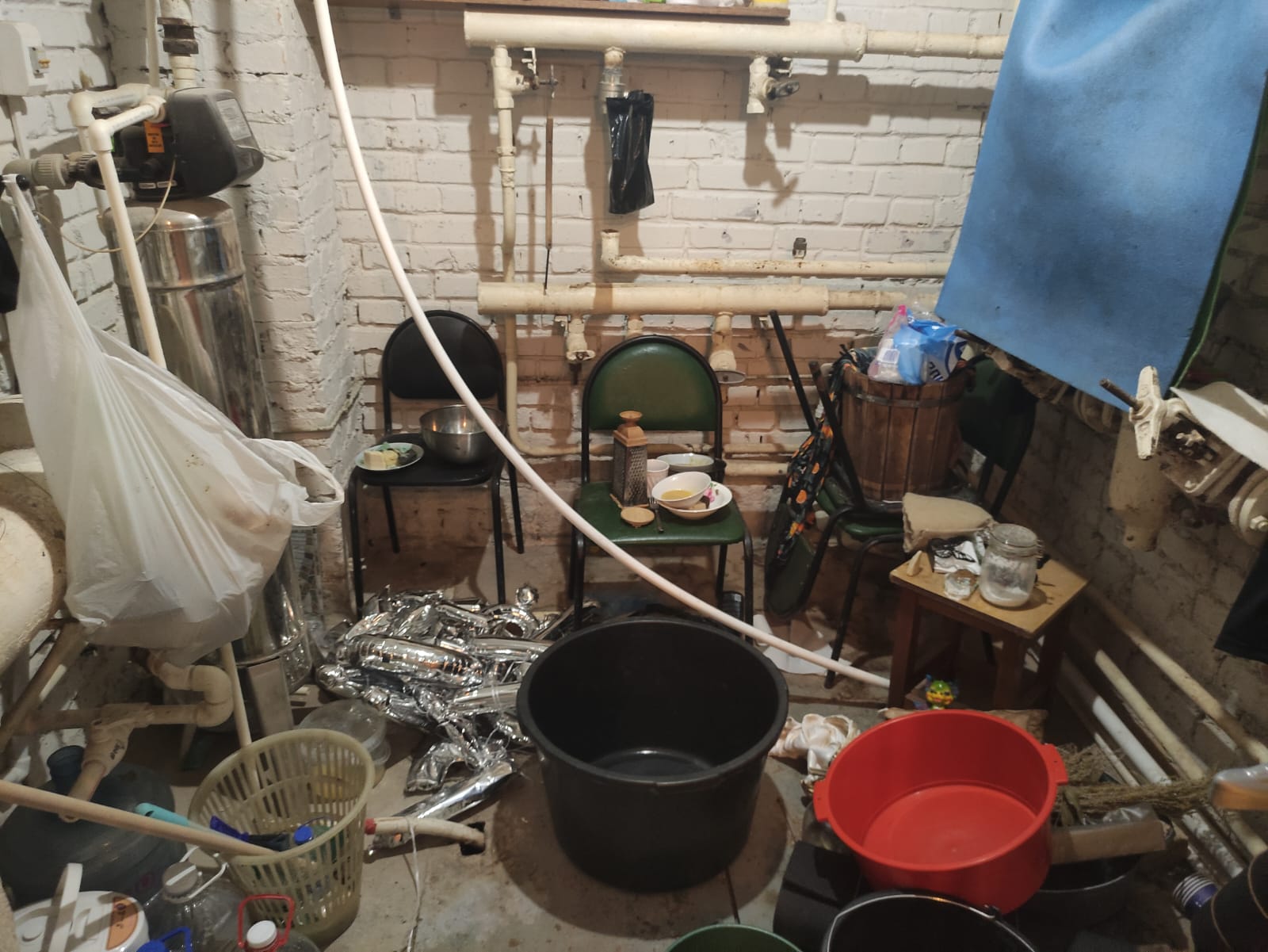 Фото ПроЛес