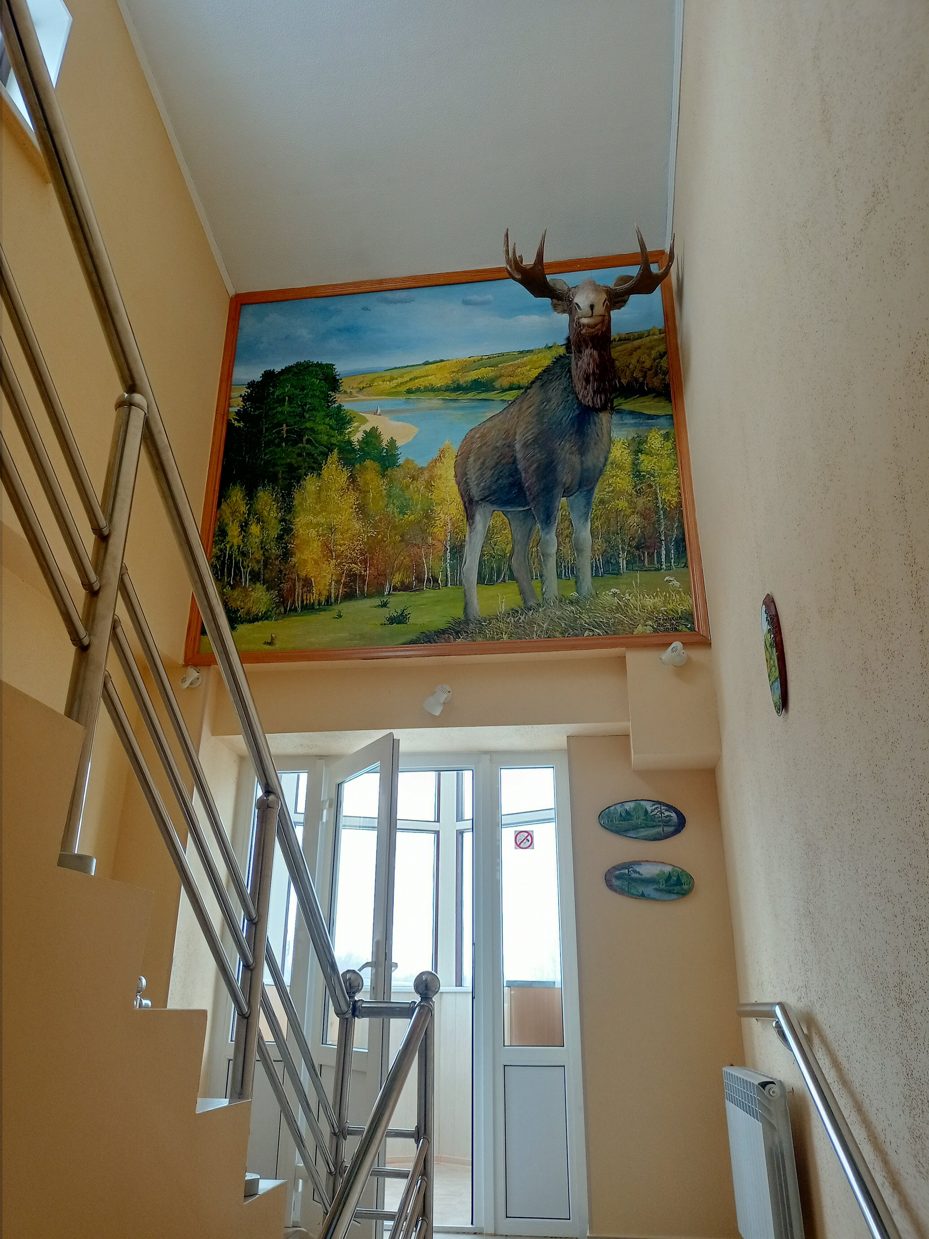 Фото Березка