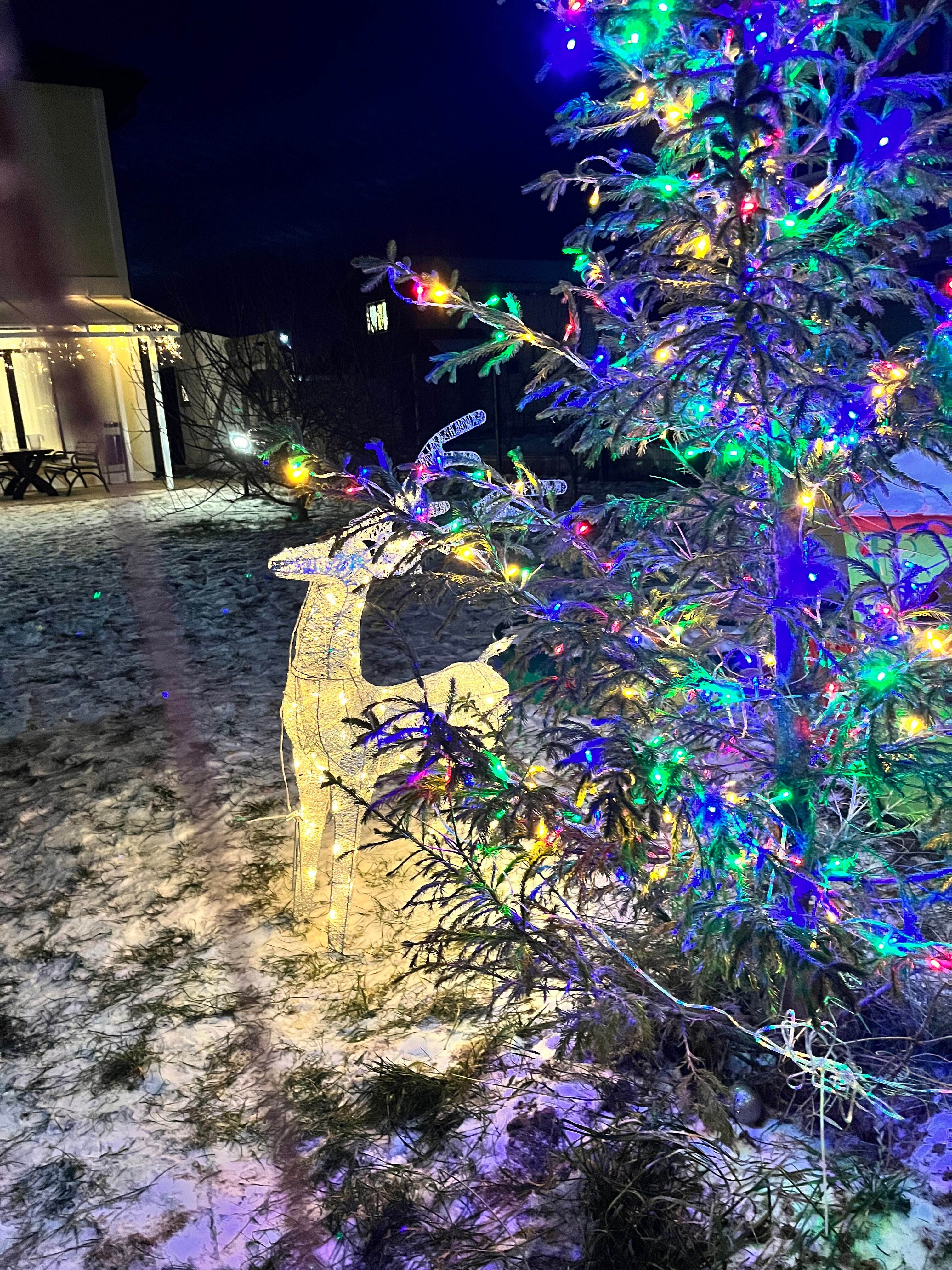 Фото Эталон