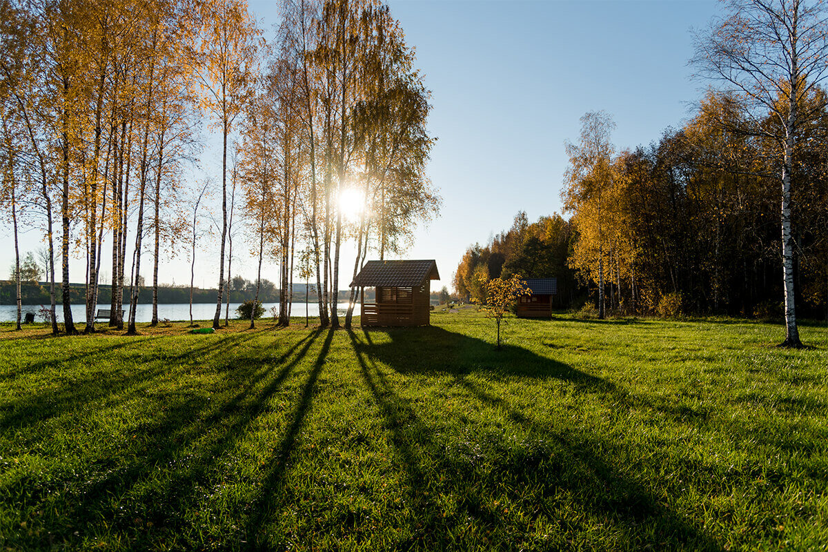 Фото Золотые Караси