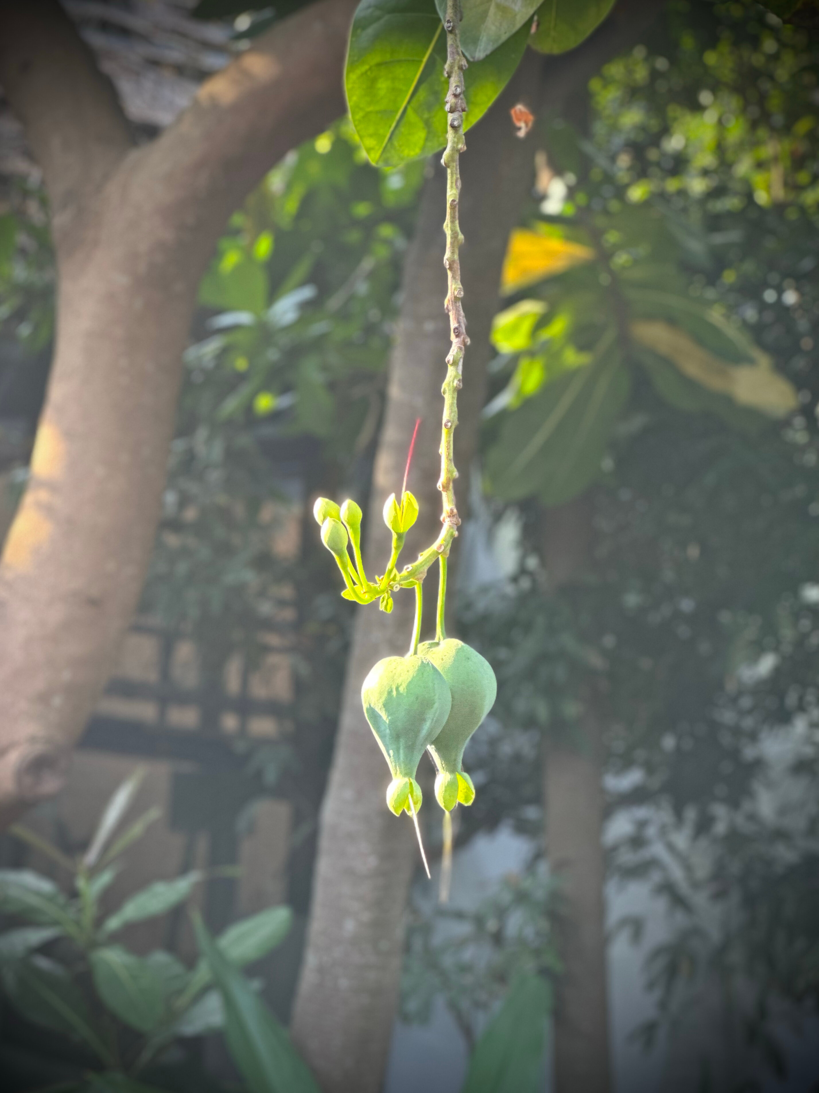 Фото Uga Jungle Beach Resort Sri Lanka