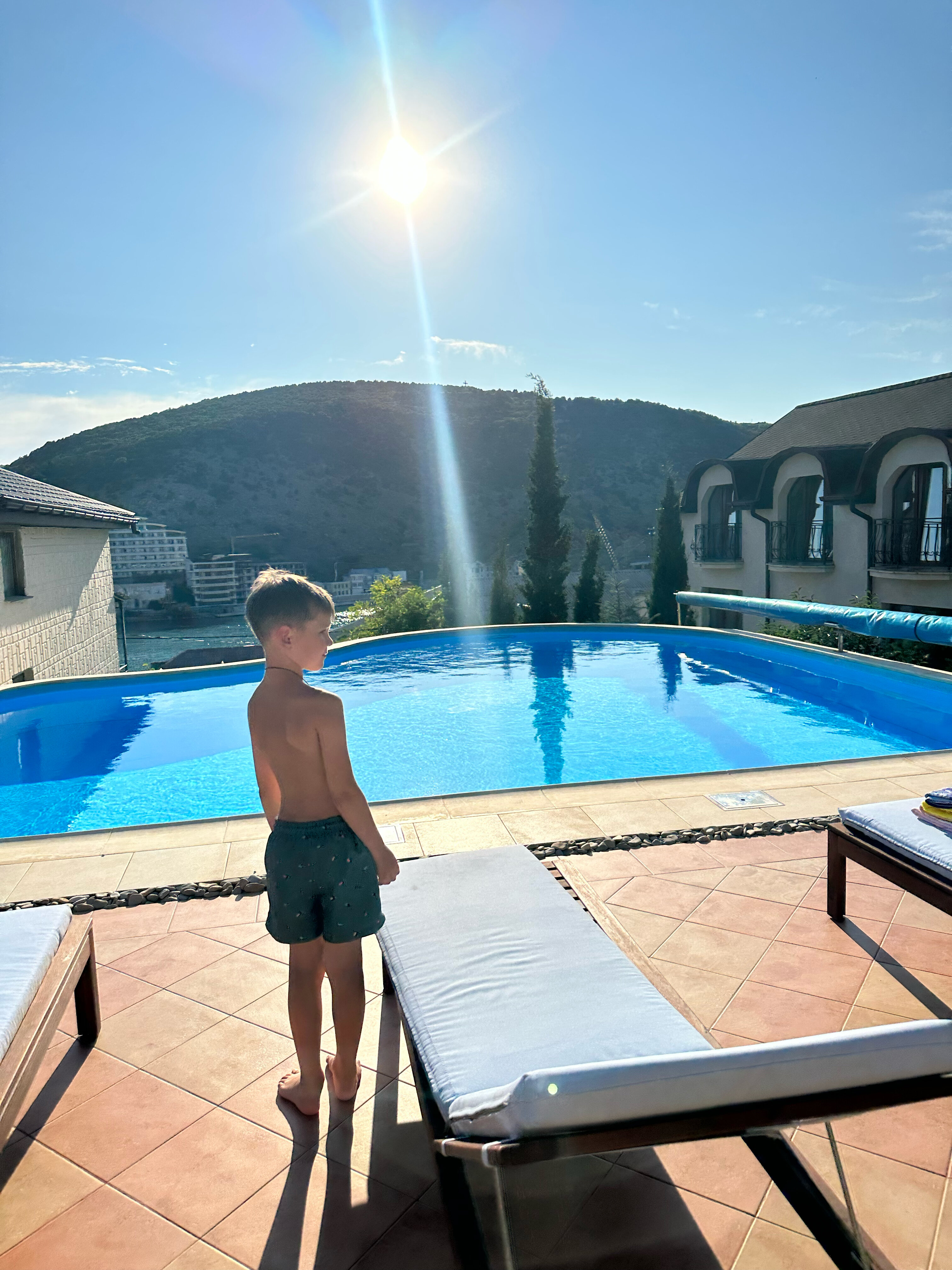 Фото Кипарис