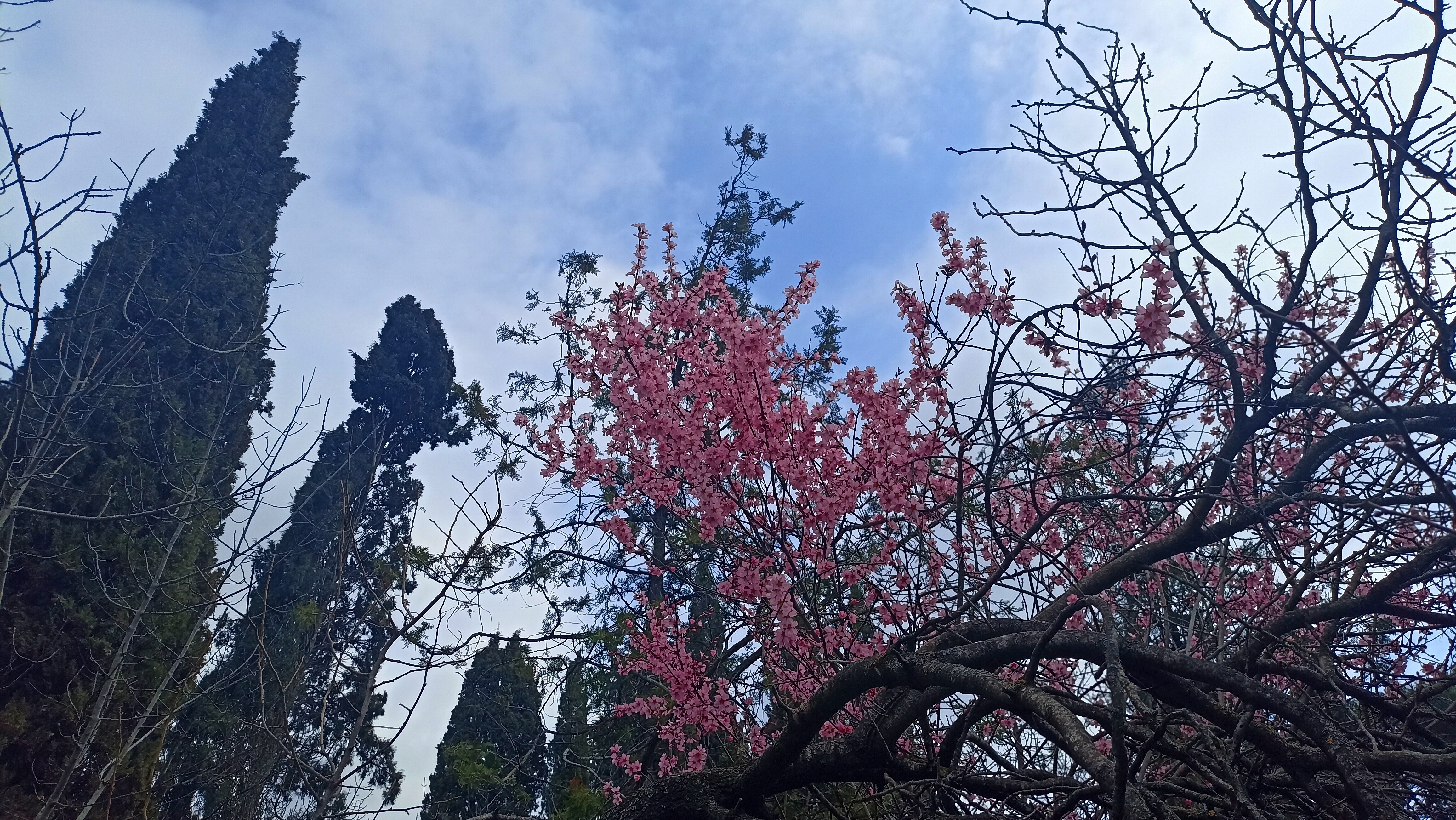 Фото У Татьяны