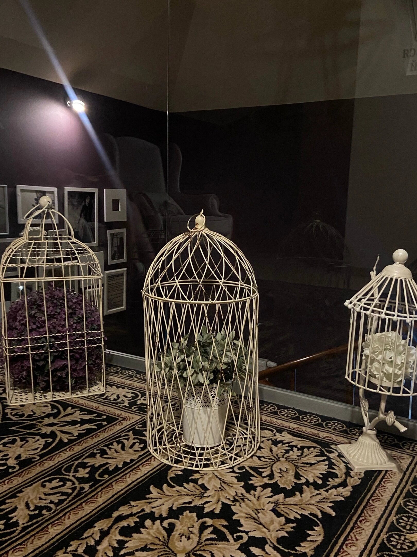 Фото Библиотека