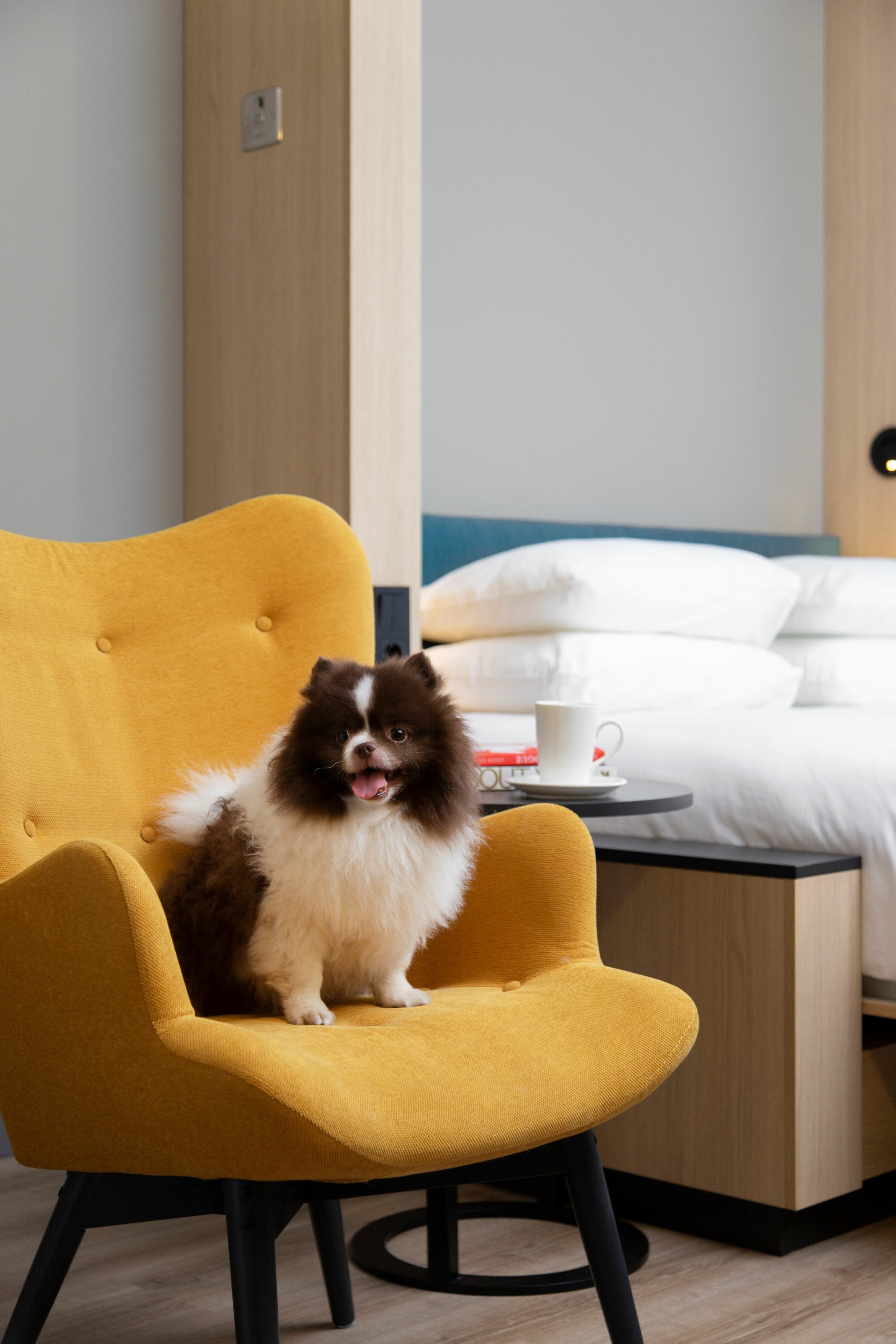 Фото Domina Пулково Апартаменты