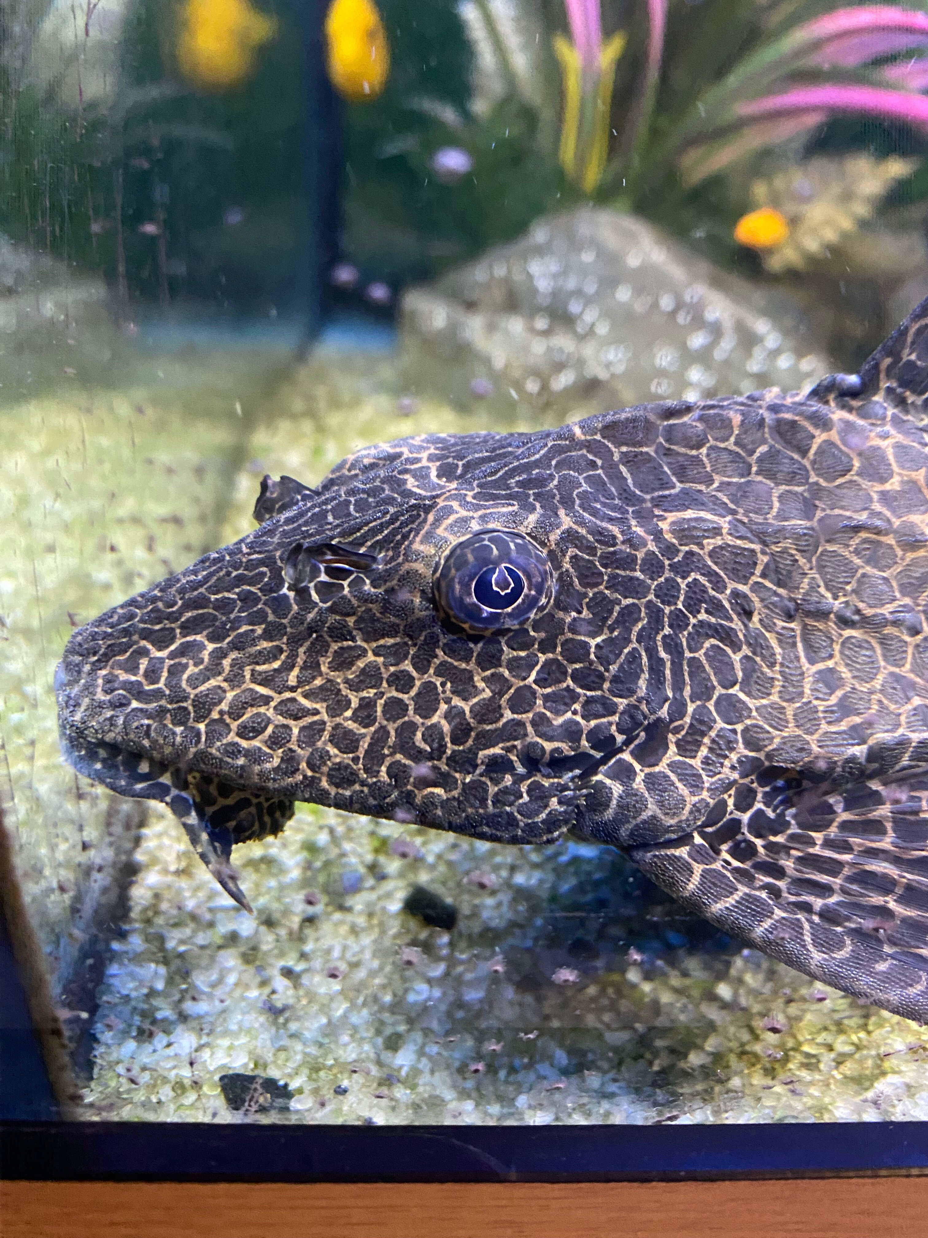 Фото У Оксаны