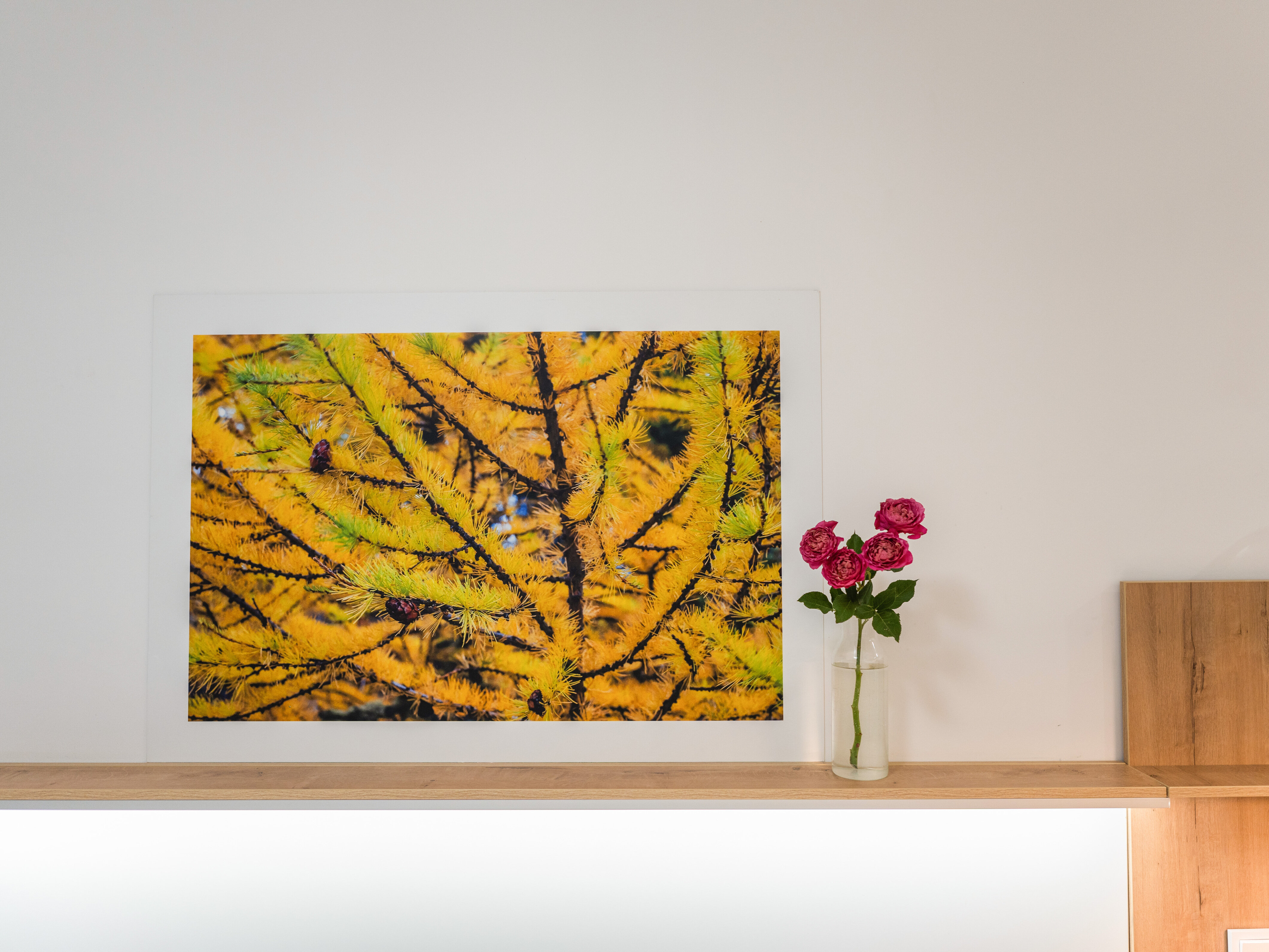 Фото Точка Запятая