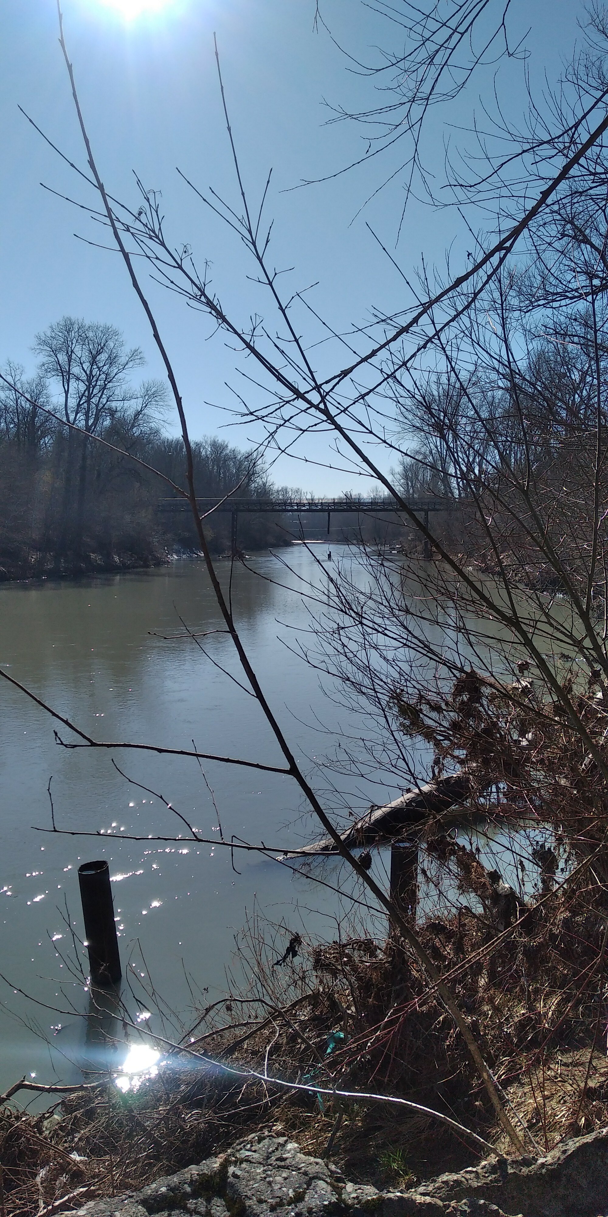 Фото Светлый