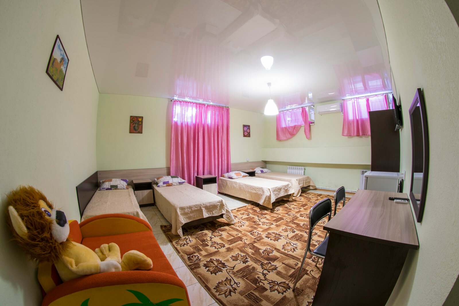 Фото Кипарис