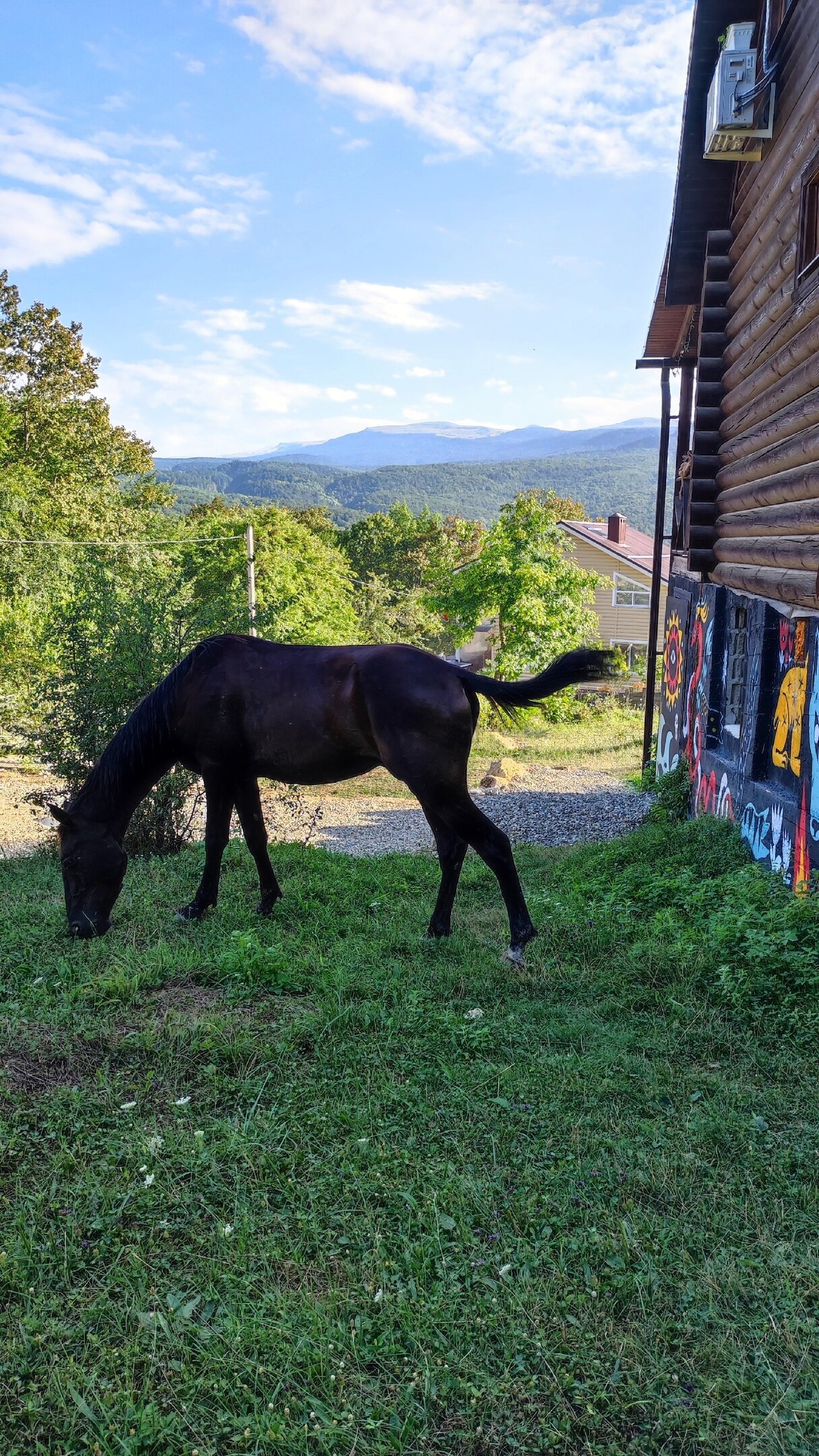 Фото Мезмай Мезон