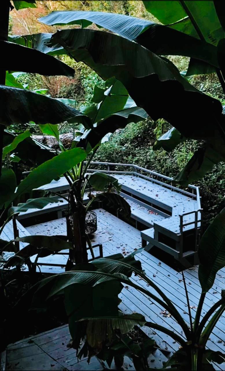 Фото Нараяна