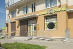 Khmel' Solod (gorodskoy posyolok Yanino-1, Koltsevaya ulitsa, 8к1) ، متجر بيع البيرة