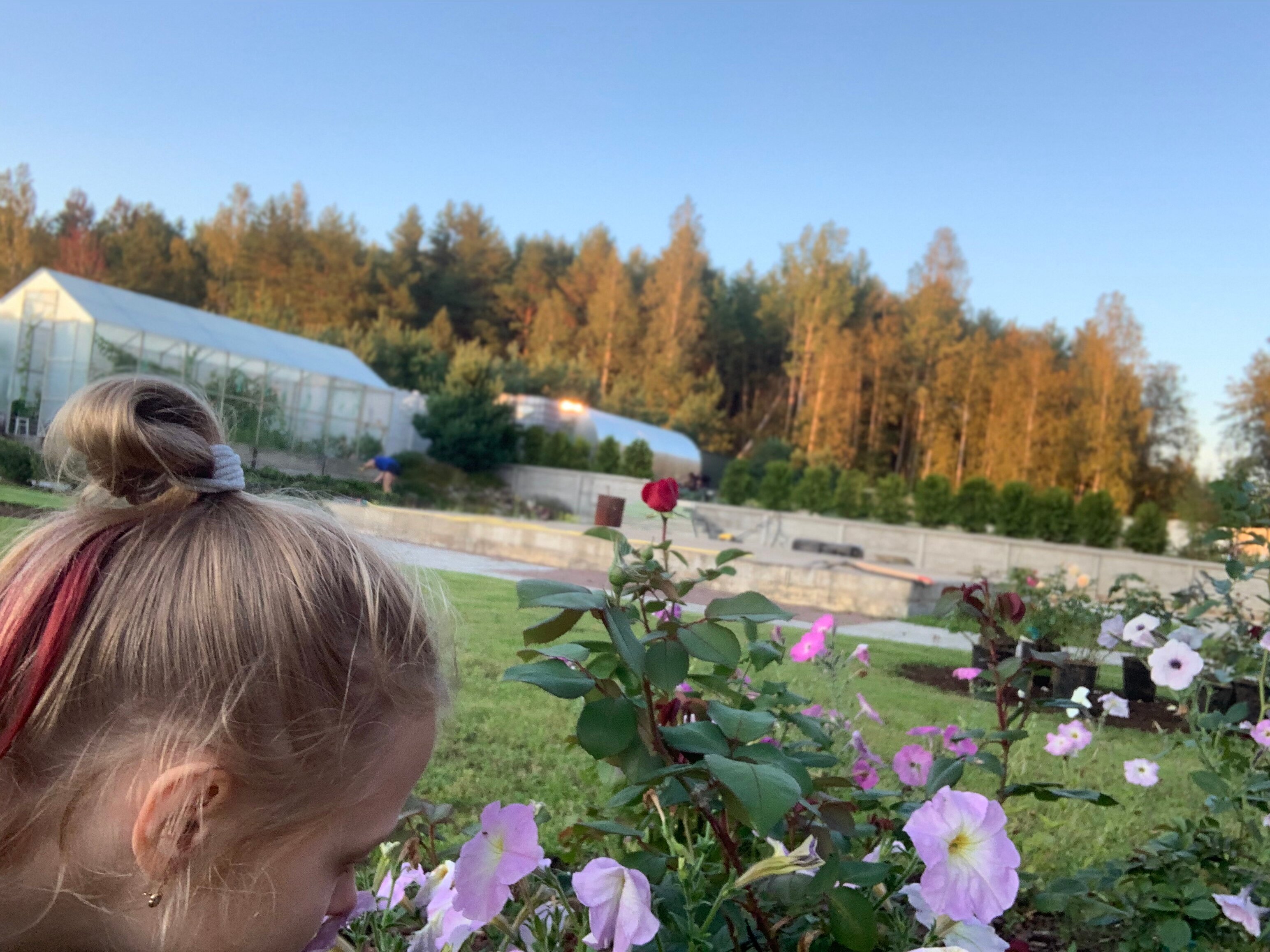 Фото Карпин пруд