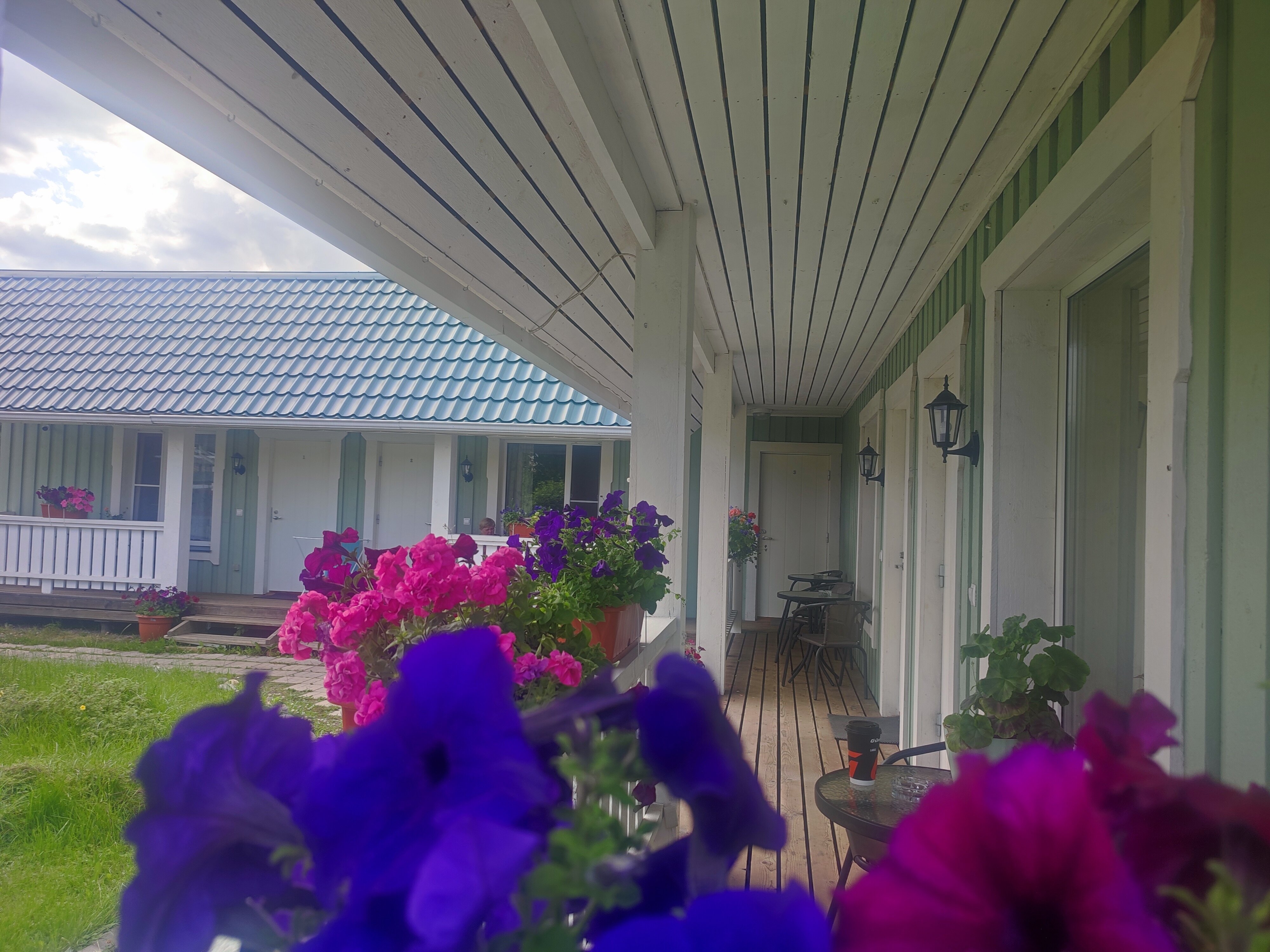 Фото Family Kodikas