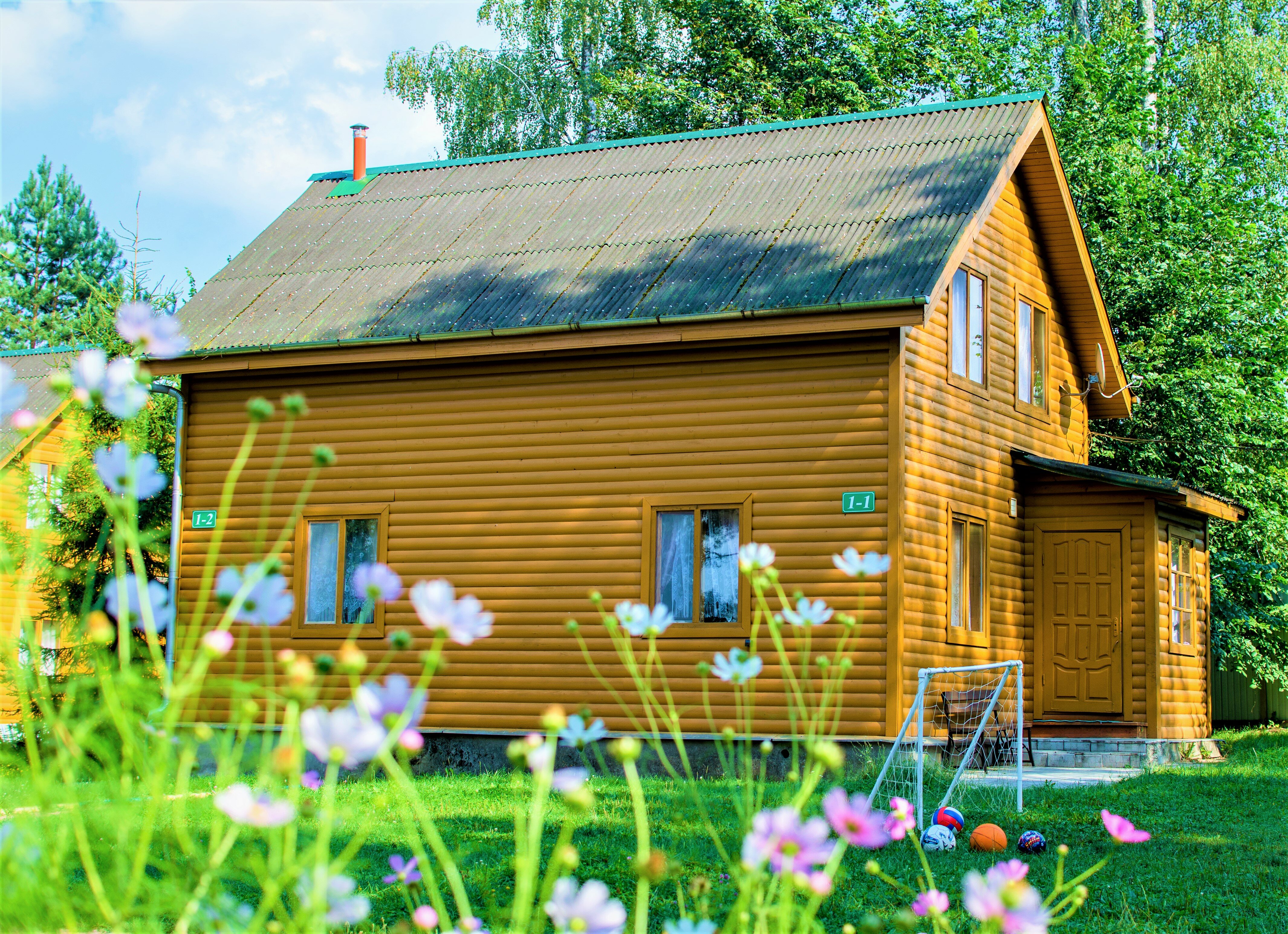 Фото Берёзовая роща