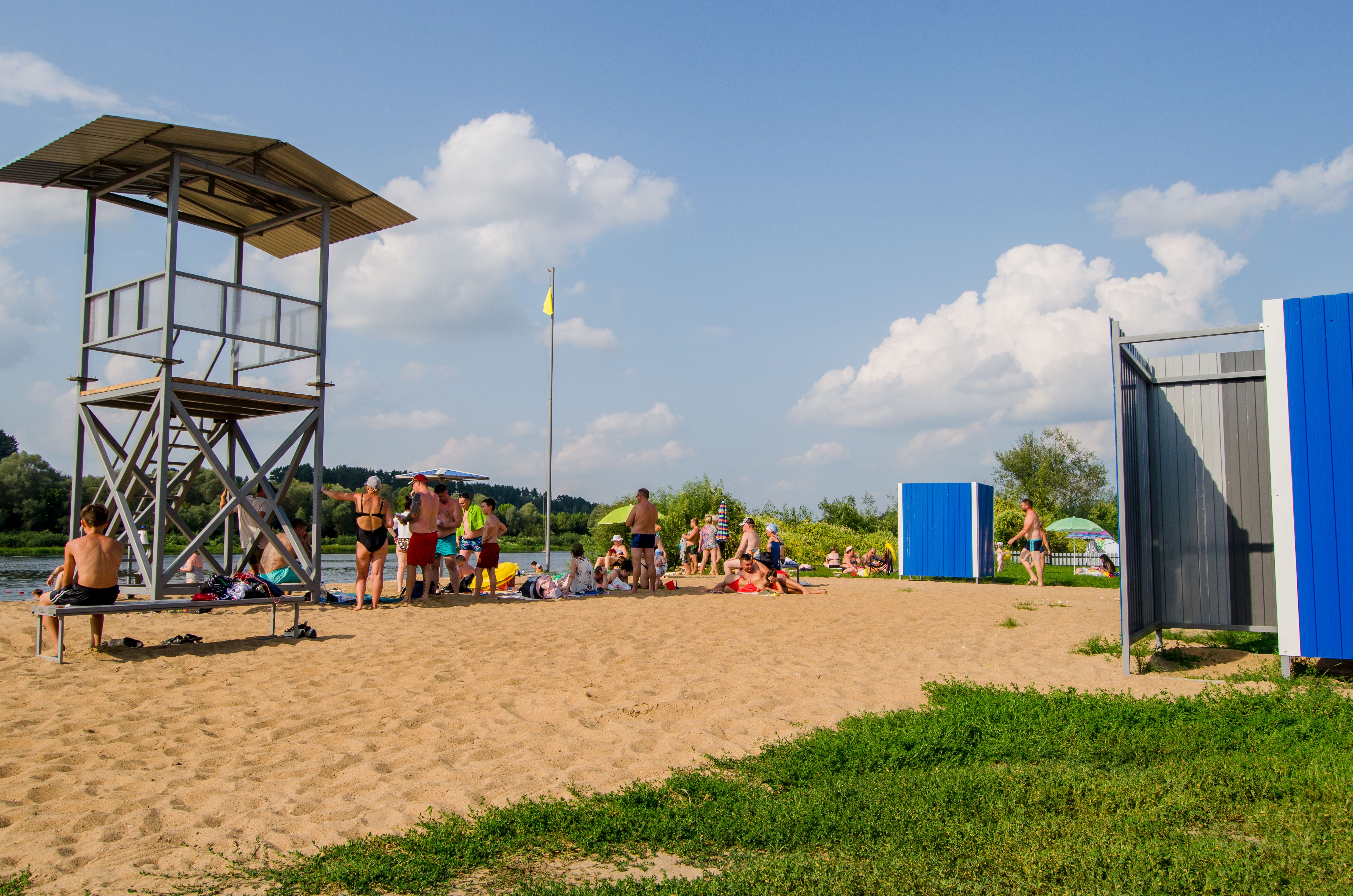 Фото Берёзовая роща